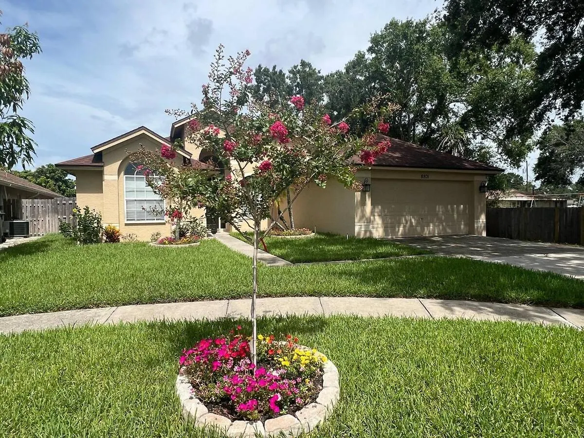 Traditional Home In Tampa